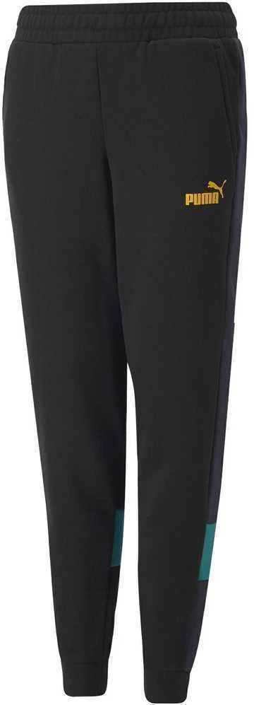 Puma Kelnės Paaugliams Ess Block Sweatpants Juodas 849083 51