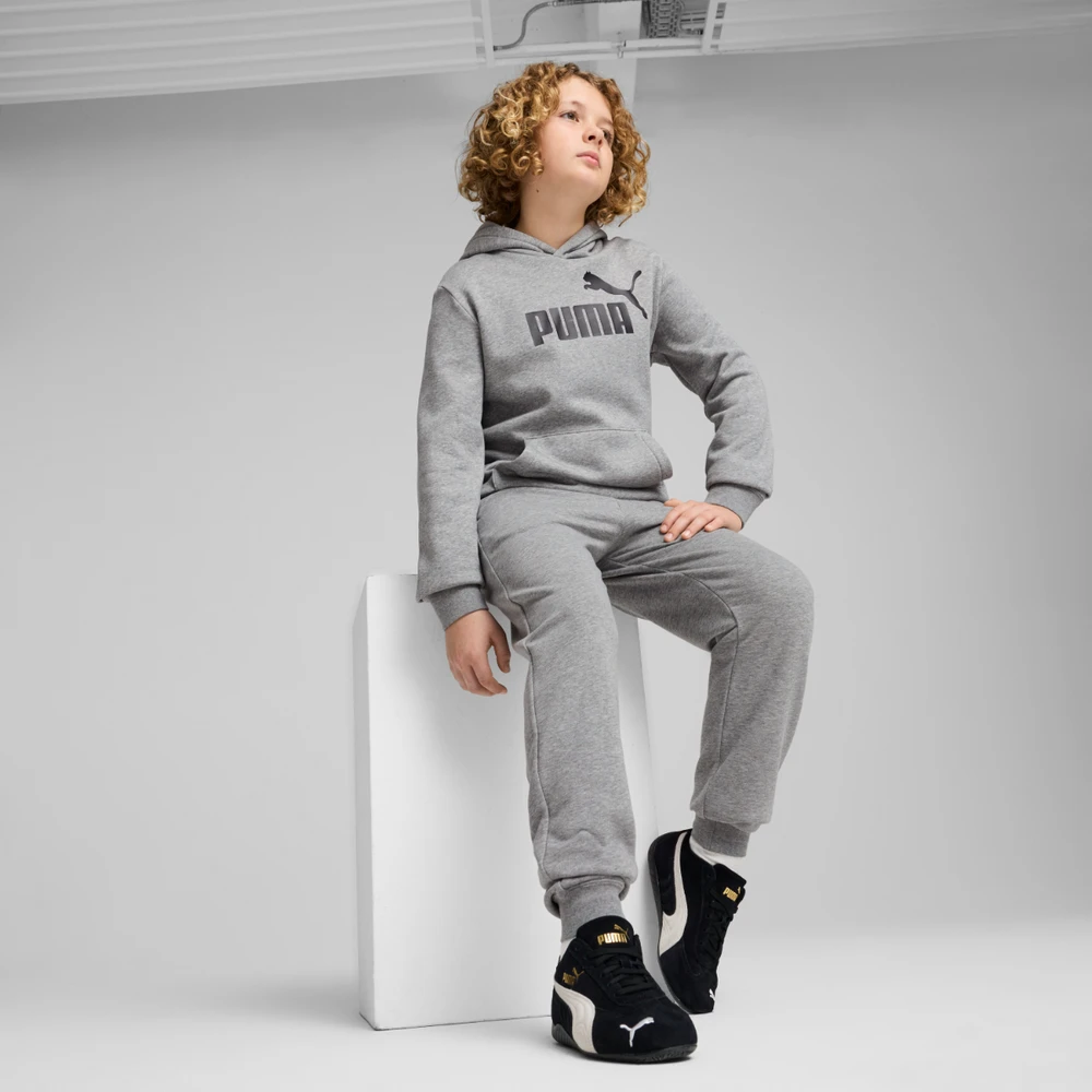 Puma Kelnės Paaugliams Ess No. 1 Logo Sweatpants Pilkas 684914 03