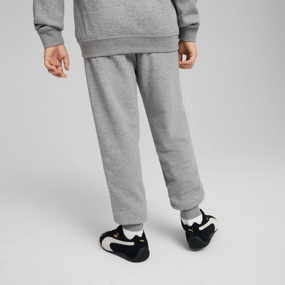 Puma Kelnės Paaugliams Ess No. 1 Logo Sweatpants Pilkas 684914 03