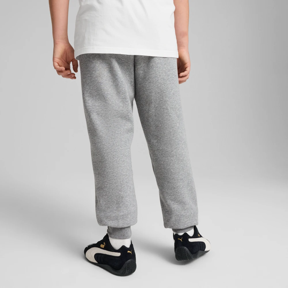 Puma Kelnės Paaugliams Ess No.1 Logo Sweatpants Fl Light Pilkas 684912 03