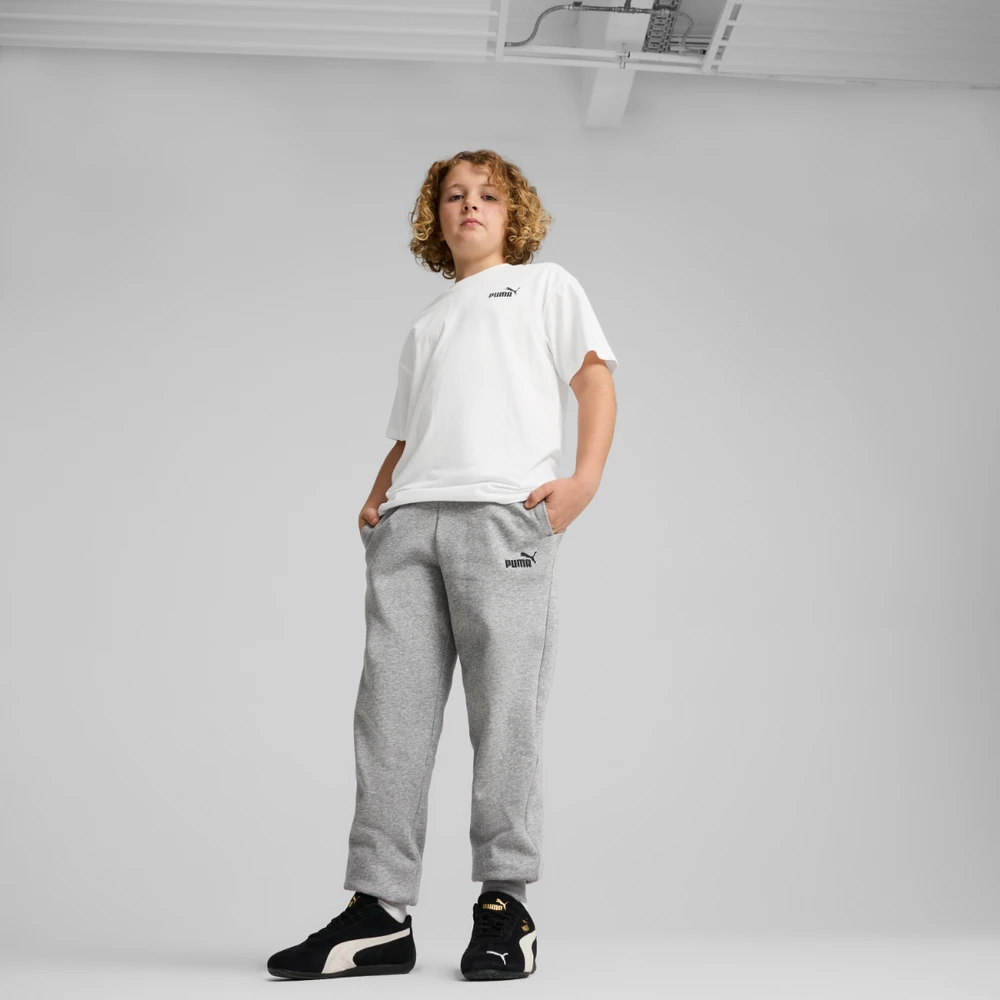 Puma Kelnės Paaugliams Ess No.1 Logo Sweatpants Fl Light Pilkas 684912 03