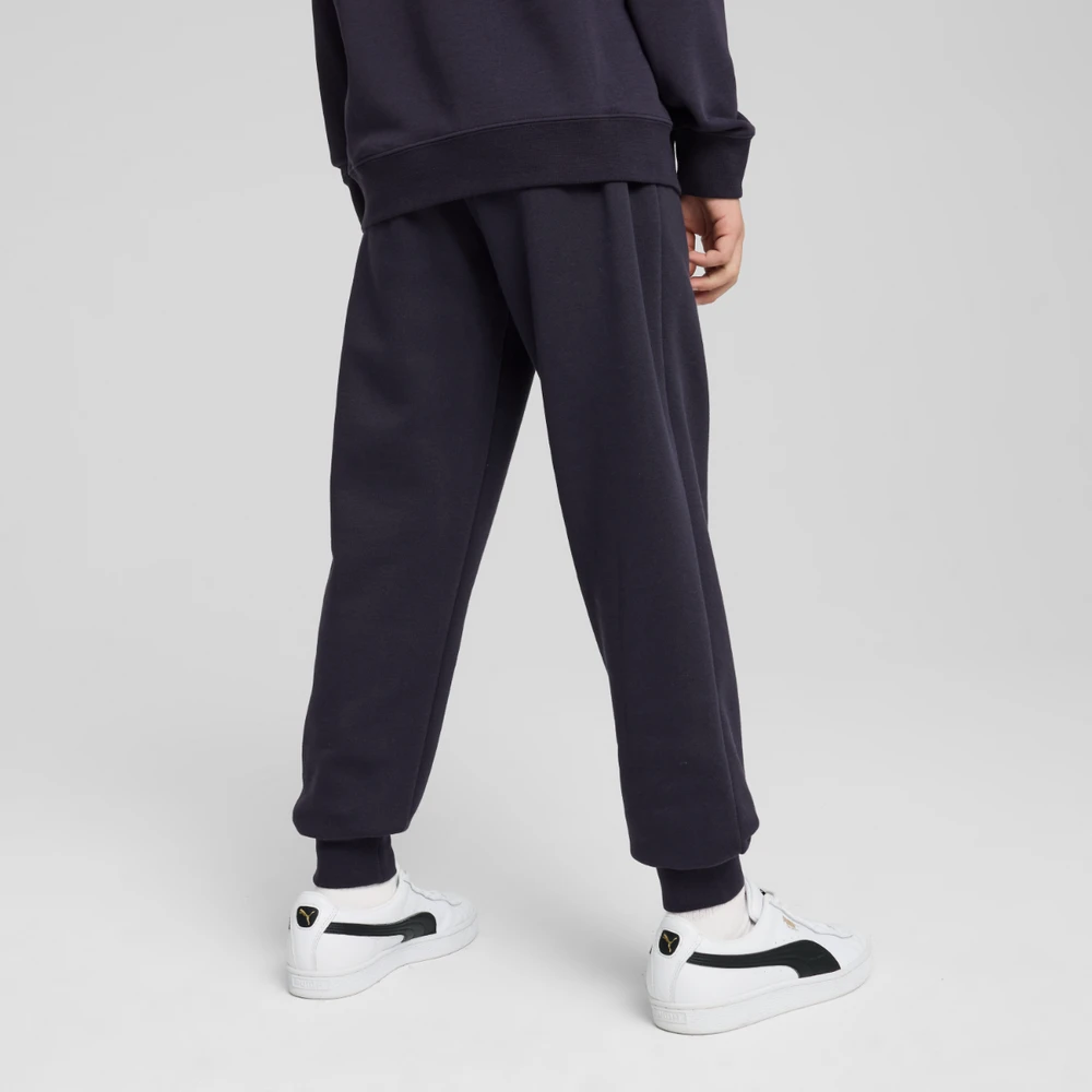 Puma Kelnės Paaugliams Ess No.1 Logo Sweatpants Fl Dark Mėlyna 684912 16