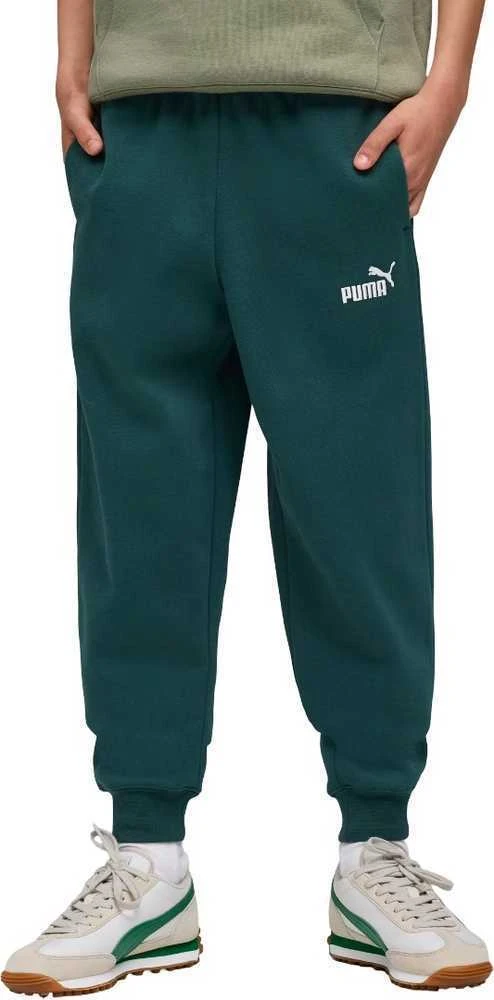 Puma Kelnės Paaugliams Ess No.1 Logo Sweatpants Fl Dark Žalias 684912 75