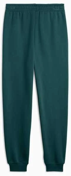 Puma Kelnės Paaugliams Ess No.1 Logo Sweatpants Fl Dark Žalias 684912 75