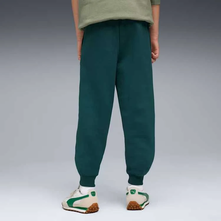 Puma Kelnės Paaugliams Ess No.1 Logo Sweatpants Fl Dark Žalias 684912 75