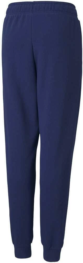 Puma Kelnės Paaugliams Alpha Sweatpants Mėlyna 585895 12