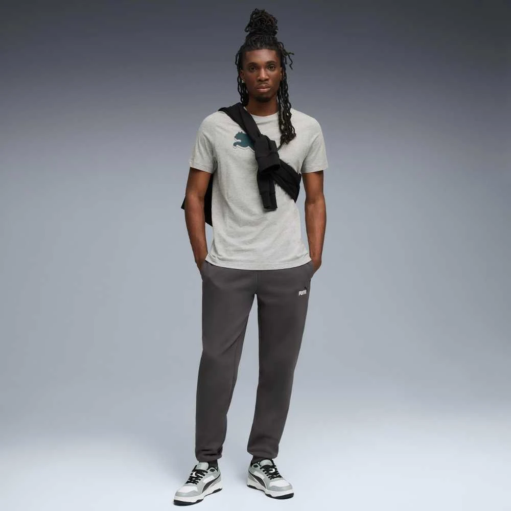 Puma Kelnės Vyrams Ess 2 Color No. 1 Fl Pilkas 684713 44