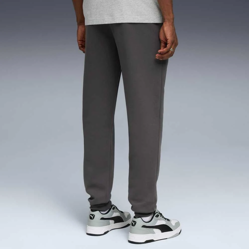 Puma Kelnės Vyrams Ess 2 Color No. 1 Fl Pilkas 684713 44