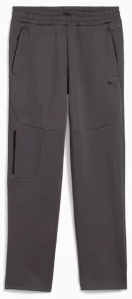 Puma Kelnės Vyrams Pumatech Track Pants Pilkas 629682 44