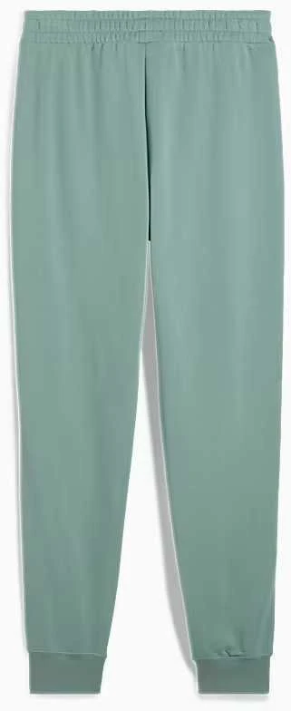 Puma Kelnės Vyrams Sport Sweatpants Žalias 684621 30