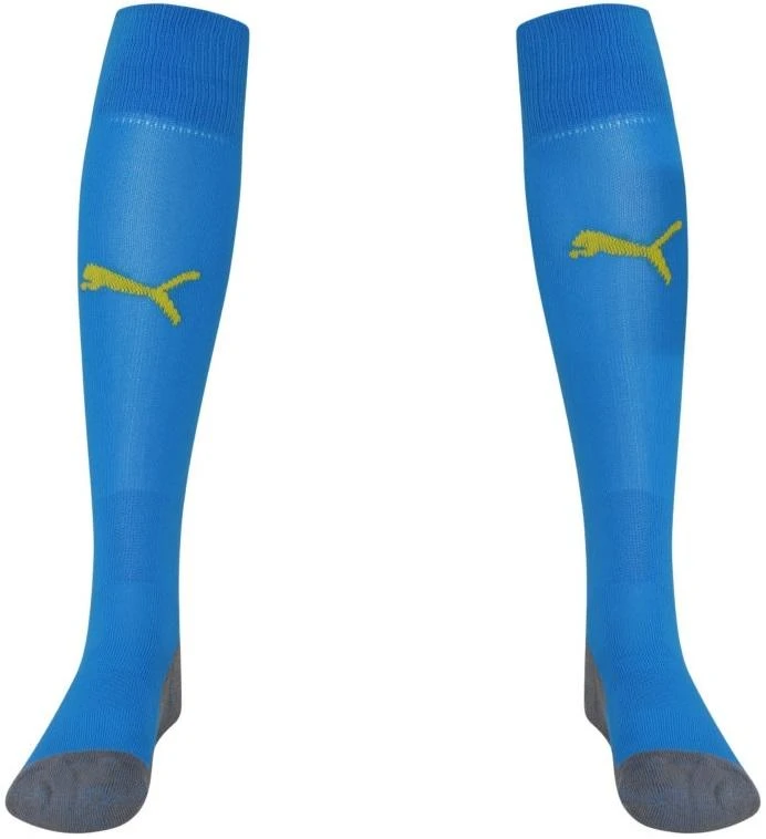 Puma Kojinės Team Liga Sock Core Mėlyna