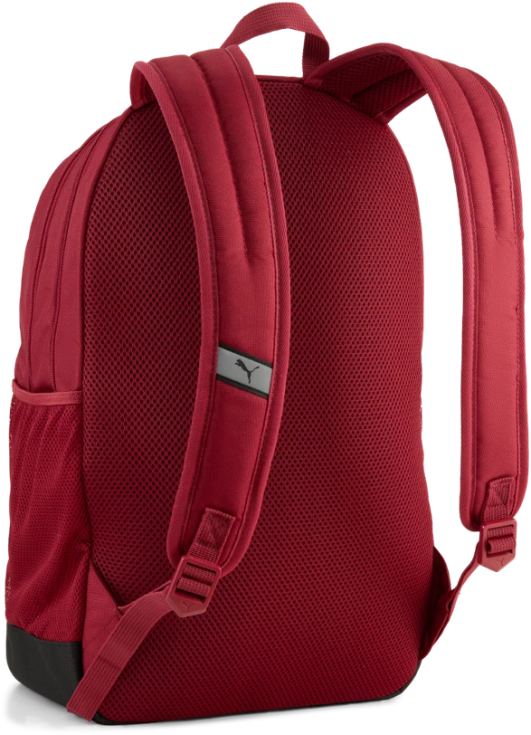 Puma Kuprinė Buzz Backpack Bordo 091153 25