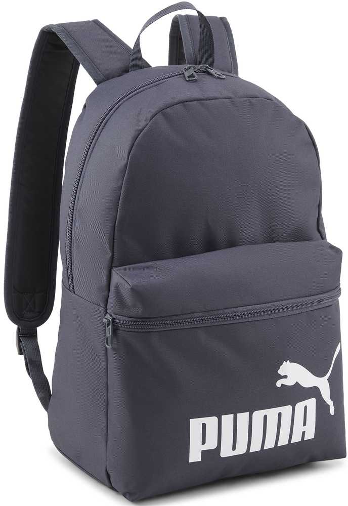 Puma Kuprinė Phase Backpack Gray 079943 37