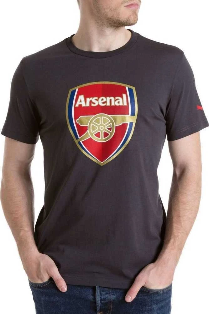 Puma Marškinėliai Afc Fan Tee - Crest Q3 Pilkas 749297 12