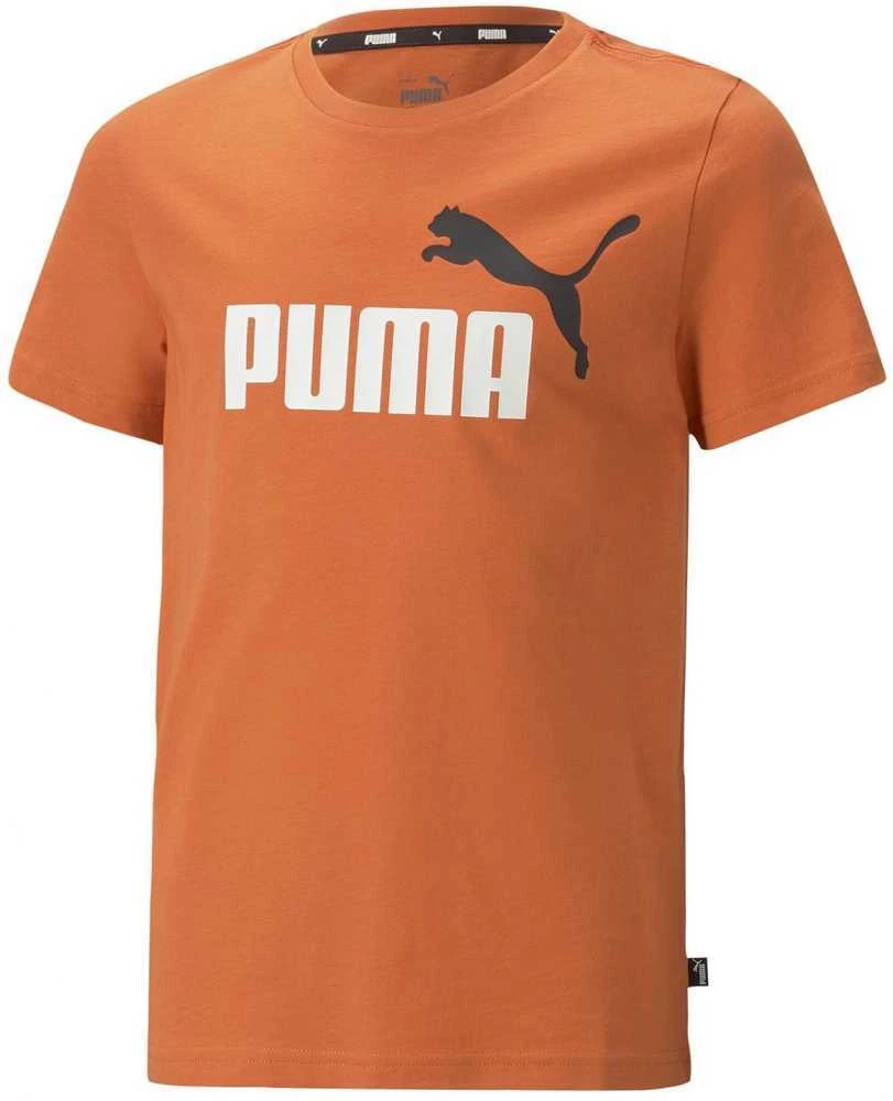 Puma Marškinėliai Paaugliams Ess+ 2 Col Logo Tee Oranžinis 586985 95