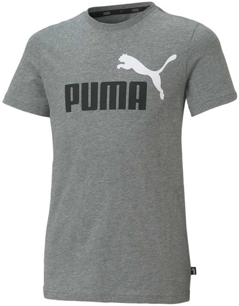 Puma Marškinėliai Paaugliams Ess+ 2 Col Logo Tee Pilkas 586985 03
