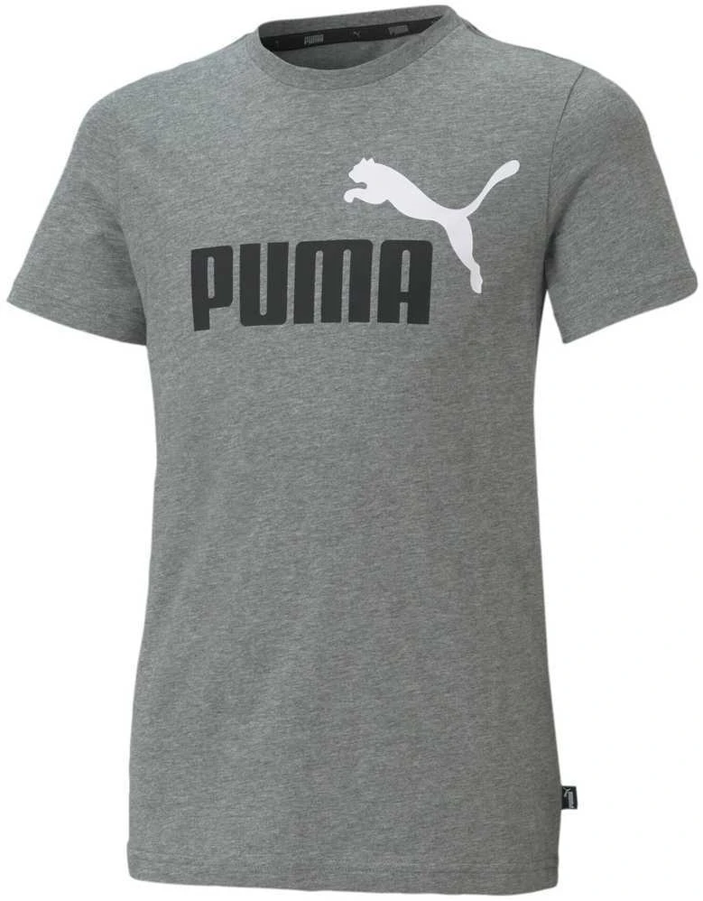 Puma Marškinėliai Paaugliams Ess+ 2 Col Logo Tee Pilkas 586985 03