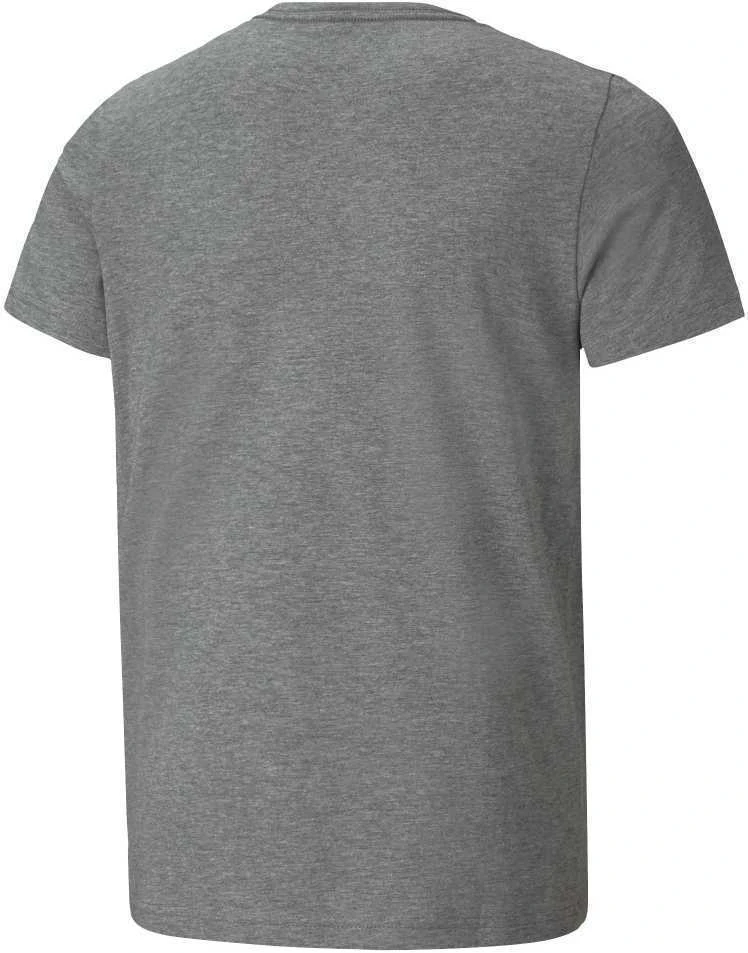 Puma Marškinėliai Paaugliams Ess+ 2 Col Logo Tee Pilkas 586985 03