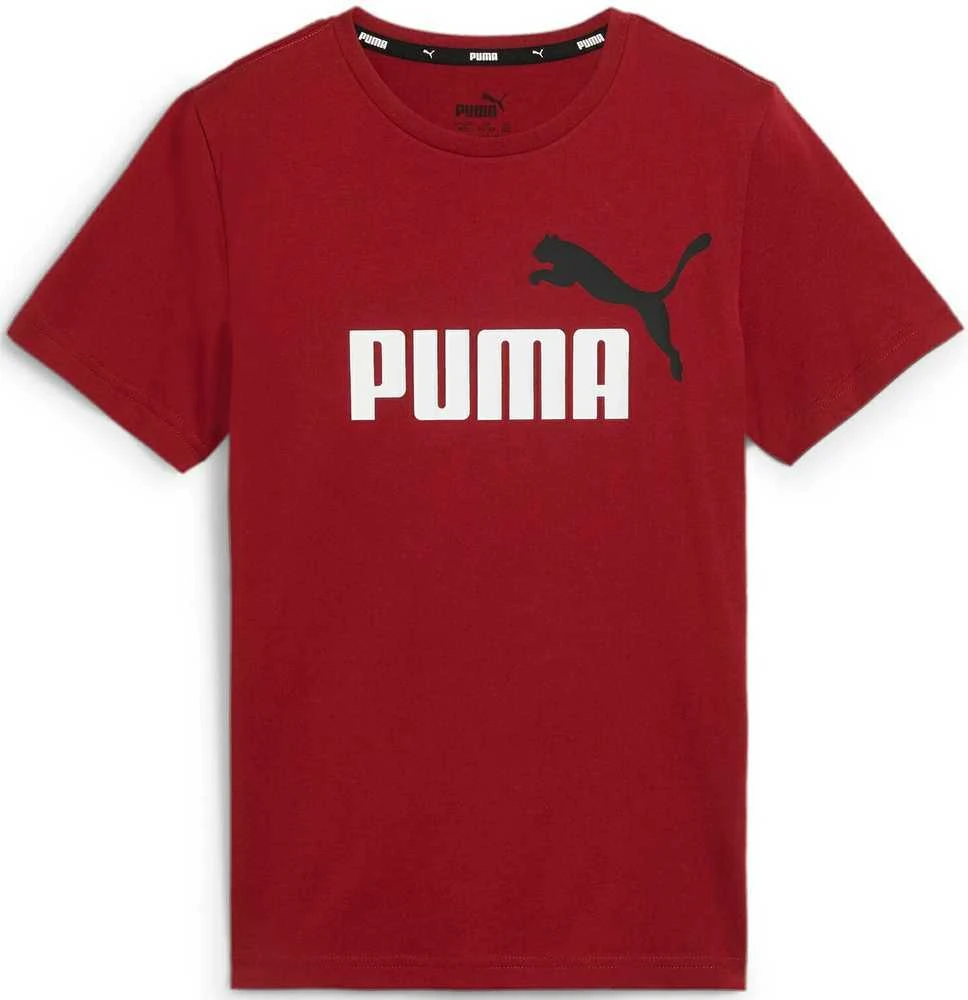 Puma Marškinėliai Paaugliams Ess+ 2 Col Logo Tee Bordo 586985 14
