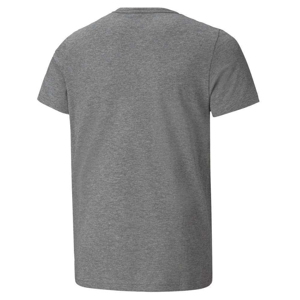 Puma Marškinėliai Paaugliams Ess+ 2 Col Logo Tee Pilkas 586985 03