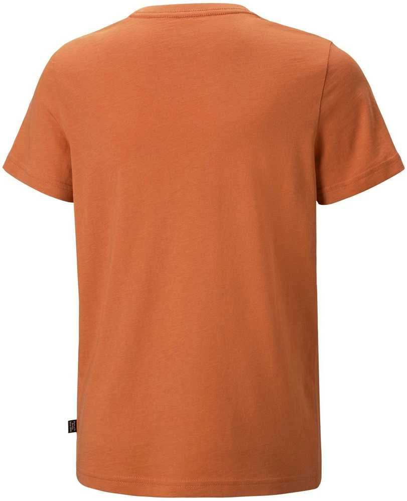 Puma Marškinėliai Paaugliams Ess+ 2 Col Logo Tee Oranžinis 586985 95