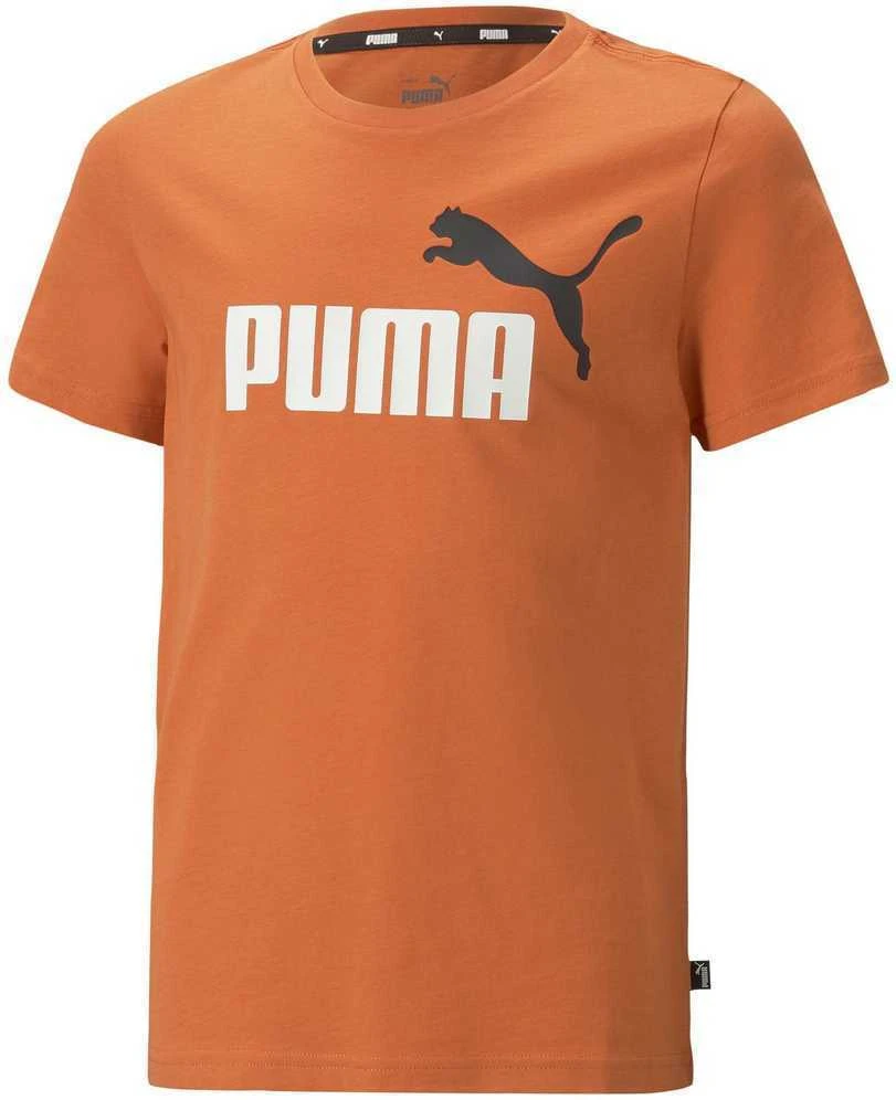 Puma Marškinėliai Paaugliams Ess+ 2 Col Logo Tee Oranžinis 586985 95