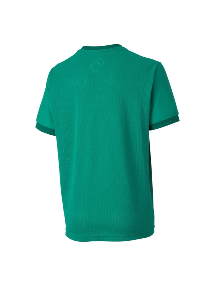 Puma Marškinėliai Paaugliams TeamGoal 23 Jerse Žalias 704160 05