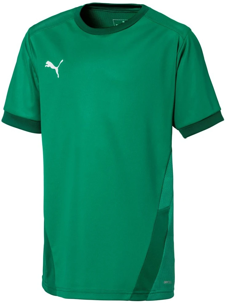 Puma Marškinėliai Paaugliams TeamGoal 23 Jerse Žalias 704160 05