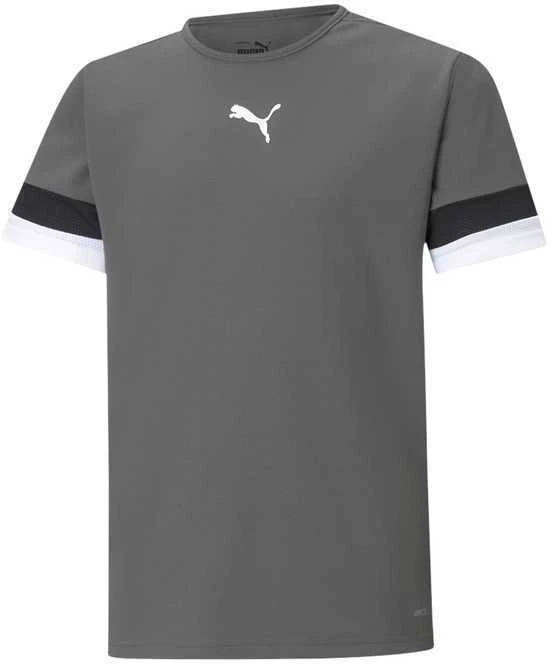Puma Marškinėliai Paaugliams TeamRise Jersey Pilkas 704938 13