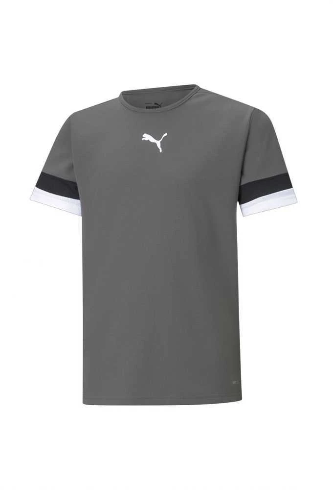 Puma Marškinėliai Paaugliams TeamRise Jersey Pilkas 704938 13