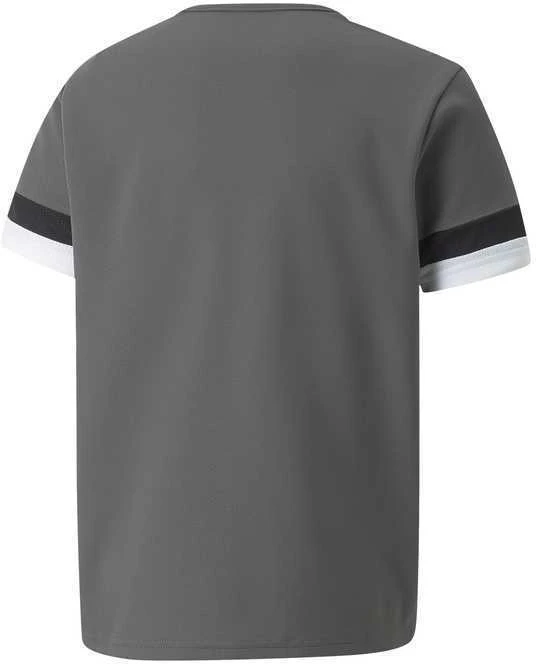 Puma Marškinėliai Paaugliams TeamRise Jersey Pilkas 704938 13