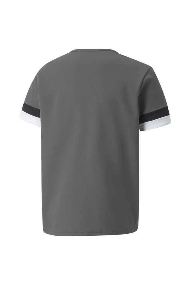 Puma Marškinėliai Paaugliams TeamRise Jersey Pilkas 704938 13