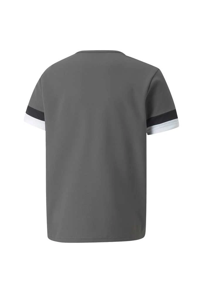 Puma Marškinėliai Paaugliams TeamRise Jersey Pilkas 704938 13