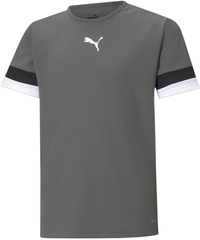 Puma Marškinėliai Paaugliams TeamRise Jersey Pilkas 704938 13