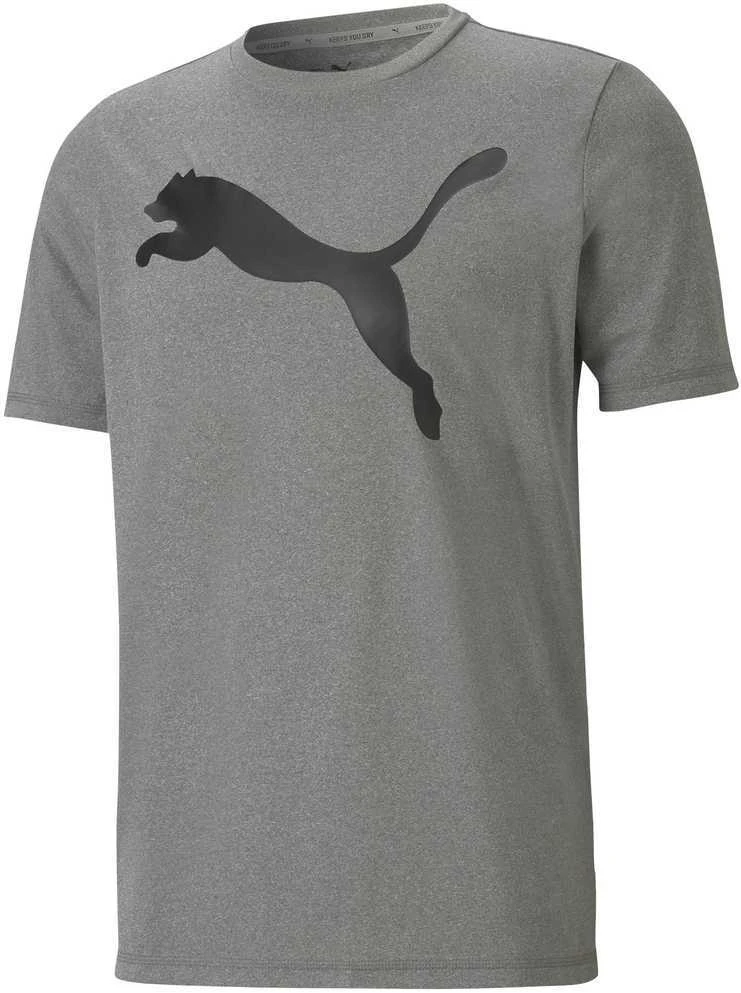 Puma Marškinėliai Vyrams Active Big Logo Tee Pilkas 586724 09