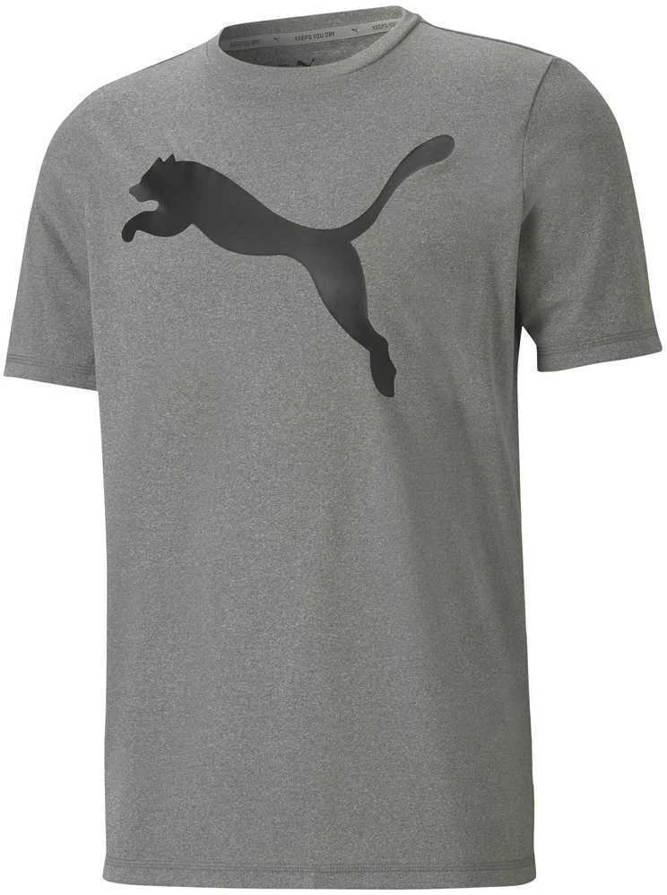 Puma Marškinėliai Vyrams Active Big Logo Tee Pilkas 586724 09