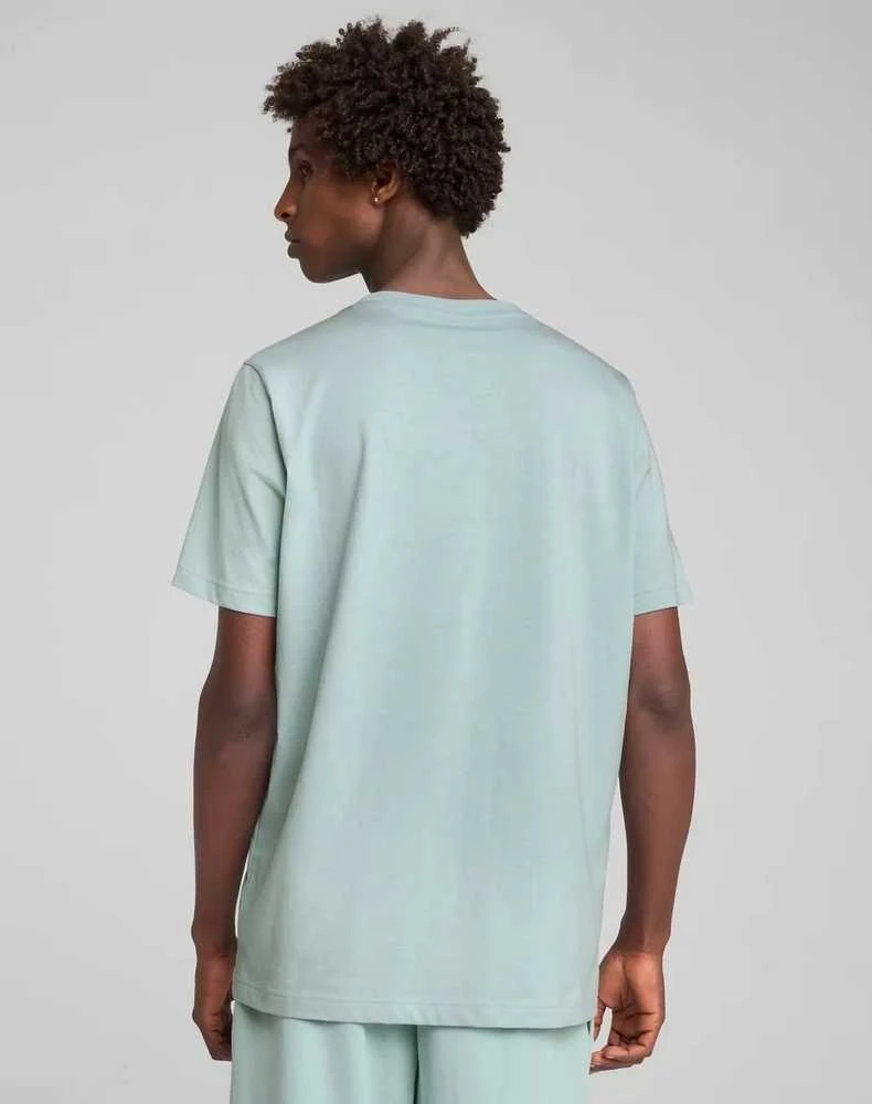 Puma Marškinėliai Vyrams Ess 2 Color Small No. 1 Logo Tee Mint 684717 67