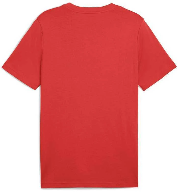Puma Marškinėliai Vyrams Ess 2 Color Small No. 1 Logo Tee Raudona 684717 15