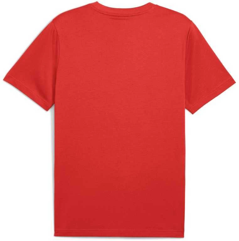 Puma Marškinėliai Vyrams Ess Logo Lab Tee Raudona 684667 15