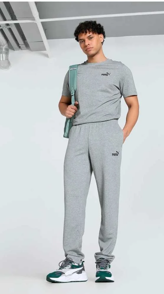 Puma marškinėliai vyrams Ess Small No.1 Logo Tee Pilkas 682534 03