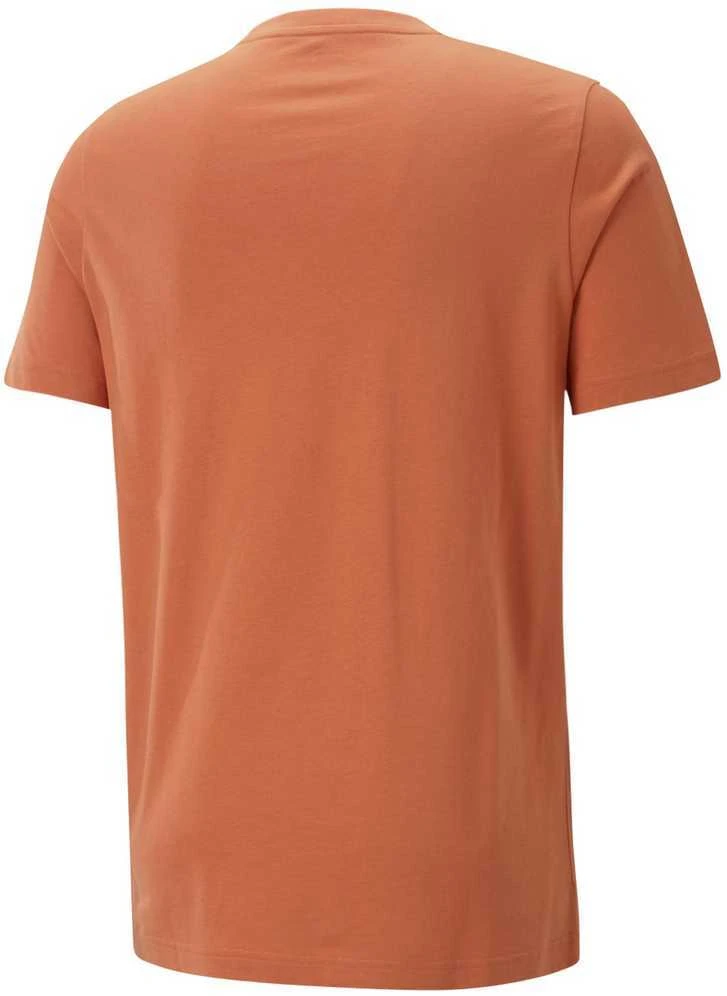 Puma Marškinėliai Vyrams Graphics Court Tee Chili Oranžinis 674481 94