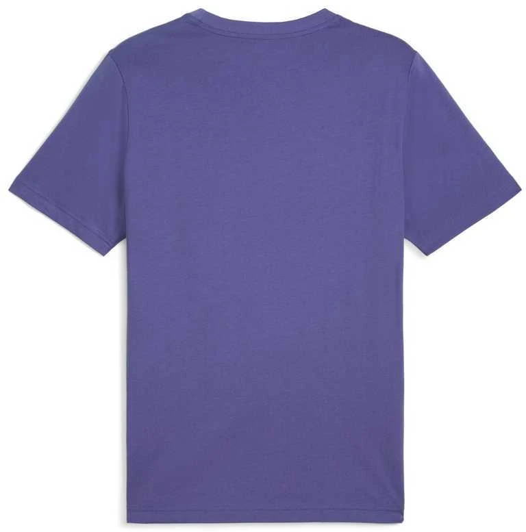 Puma Marškinėliai Vyrams Graphics Icon Tee Violetinė 684829 46