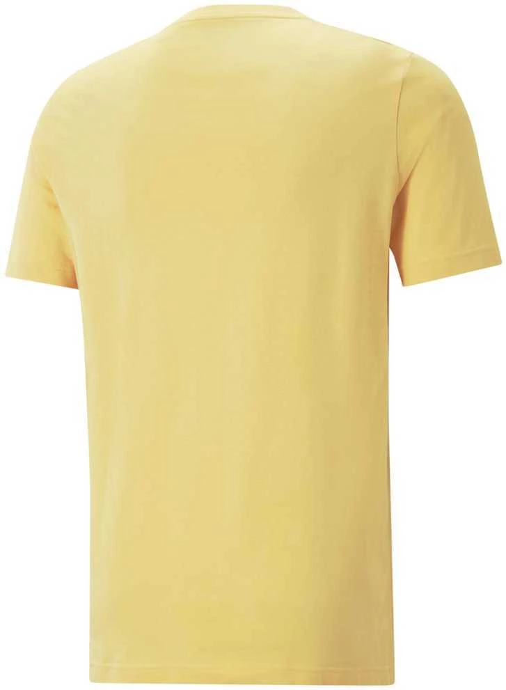 Puma Marškinėliai Vyrams Graphics Summer Tee Geltona 674482 40