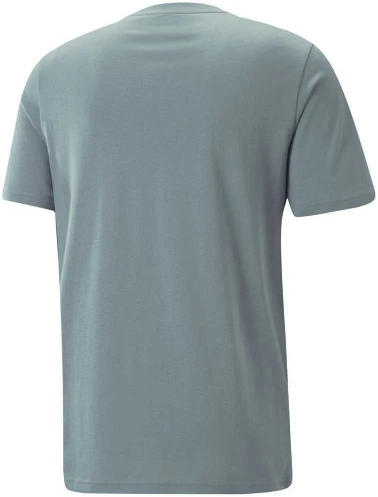 Puma Marškinėliai Vyrams Graphics Wording Tee Žalias 674475 84