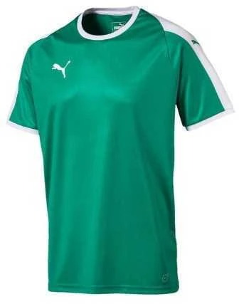 Puma Marškinėliai Vyrams Liga Jersey Pepper Žalias 703417 05