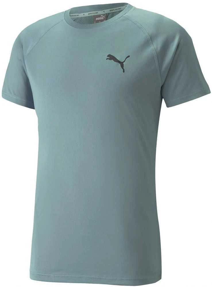 Puma Marškinėliai Vyrams Rtg Tee Mineral Žalias 585827 50