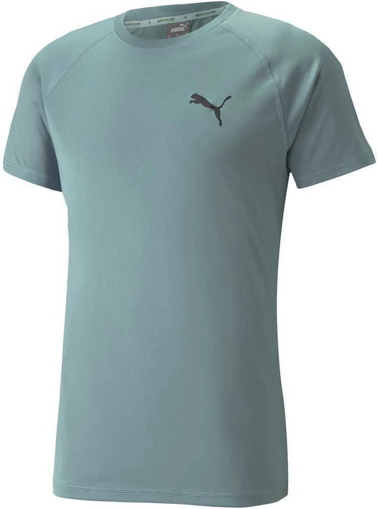Puma Marškinėliai Vyrams Rtg Tee Mineral Žalias 585827 50