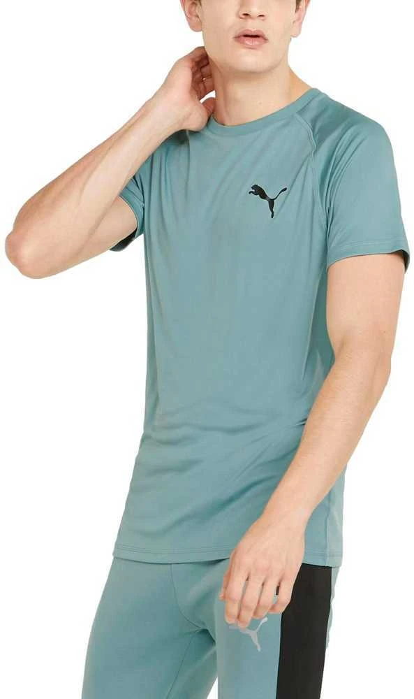 Puma Marškinėliai Vyrams Rtg Tee Mineral Žalias 585827 50