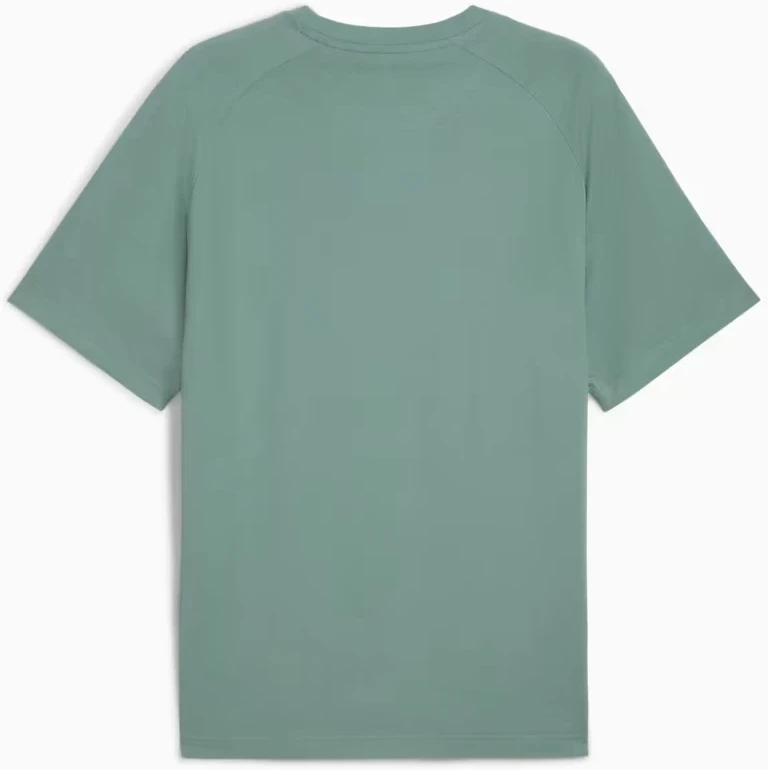 Puma Marškinėliai Vyrams Sport Tee Žalias 684616 30