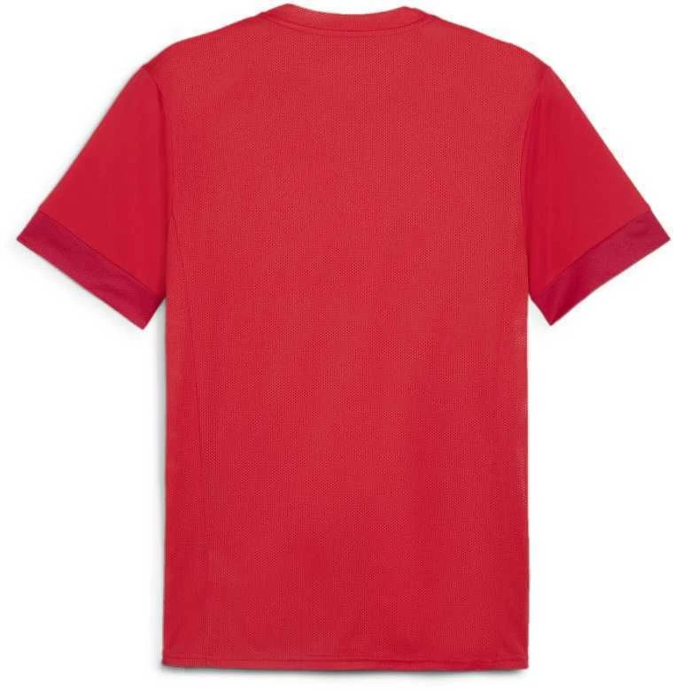 Puma Marškinėliai Vyrams TeamGoal Matchday Jersey Raudona 705747 01